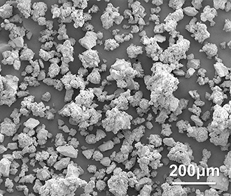 Isomalt granules  SEM image