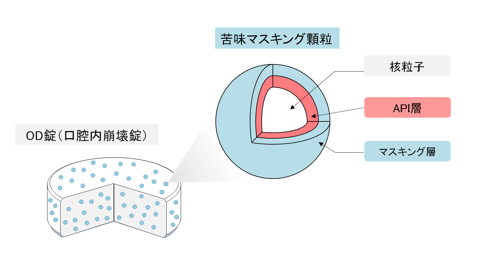 苦味マスキング顆粒の模式図